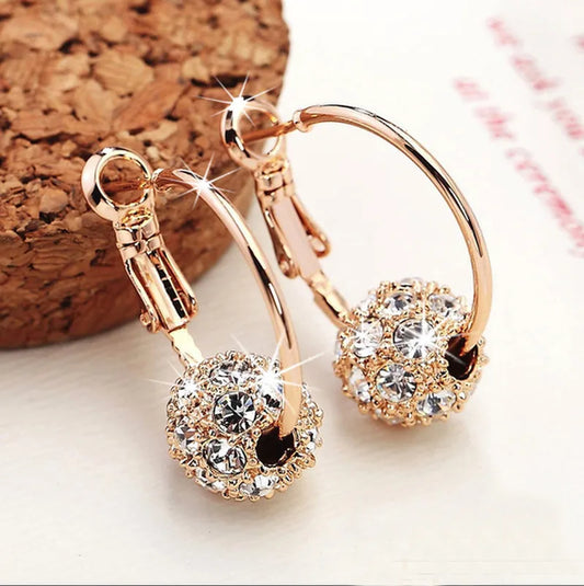 Fashion Trend Earrings Zircon Pendant Earrings