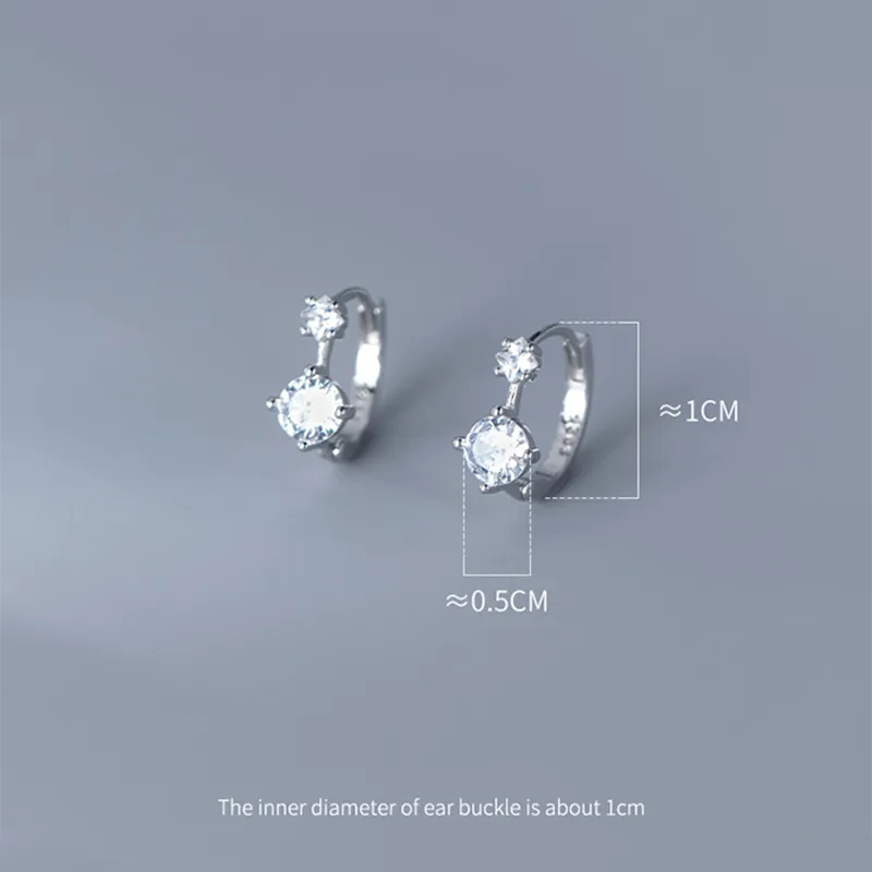 Silver Luxury Black Zircon Earrings